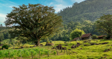 Rota do Enxaimel indicada para Melhores Vilas Turísticas do Mundo