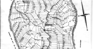 De onde vêm os termos “Colono” e “Colonial”?