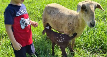 Projeto de Lei aumenta reconhecimento da Rota do Enxaimel