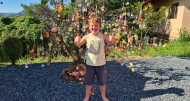 Começa votação popular do Concurso de Osterbaum da Rota do Enxaimel