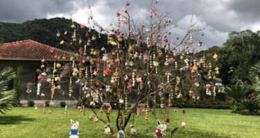 Rota do Enxaimel abre inscrições do concurso de Árvore de Páscoa